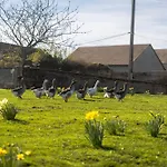 Les Normandes