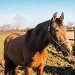 Сasa de vacaciones Les Normandes