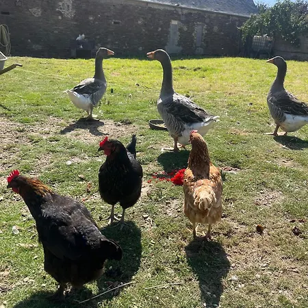 Les Normandes Hébergement de vacances