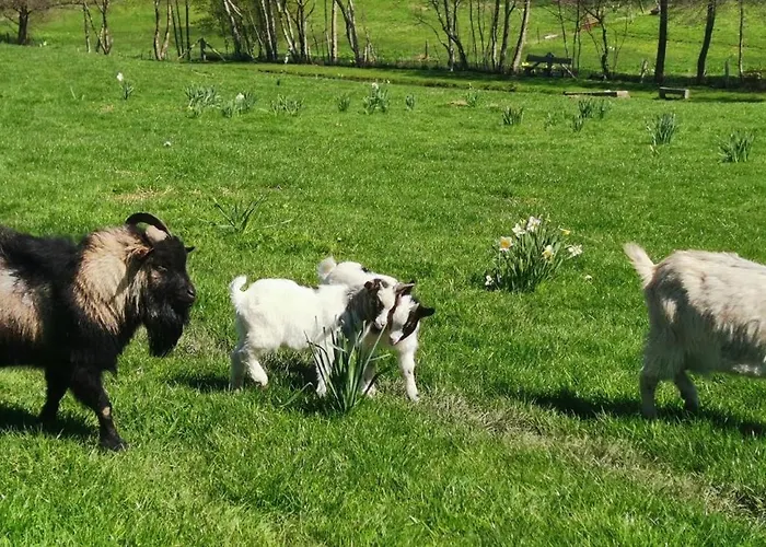 Les Normandes Nyaraló *