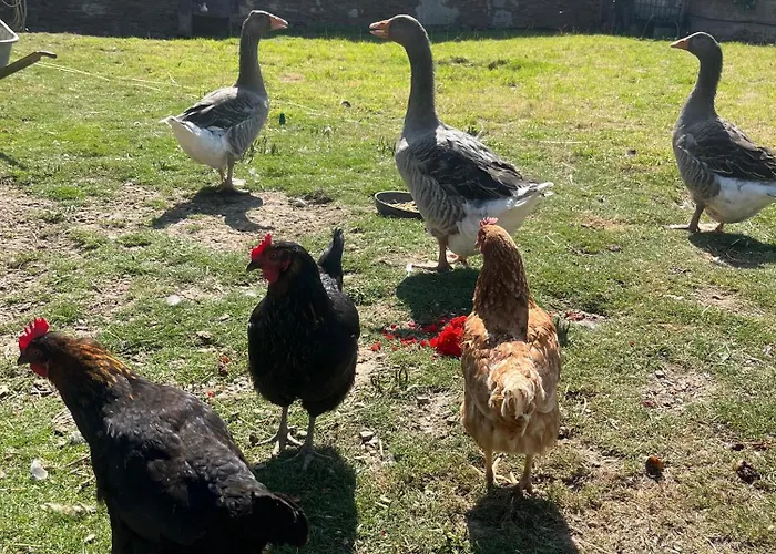 Les Normandes Nyaraló